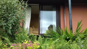 Oak Ridge rooms with a view - Image 4