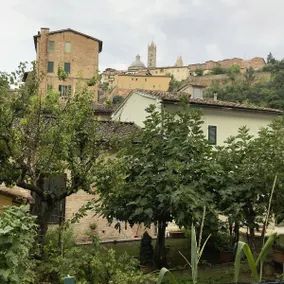 To dream in Siena - Image 2