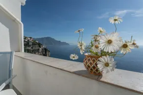 Casa Novella - Image 5