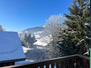 Beautiful Rochebrune apartment, close to slopes and village - Image 2
