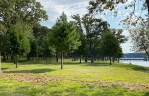 Camp Dogwood at Lake Palestine - Image 3