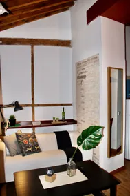 Penthouse duplex. Toledo City Centre - Image 2