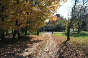 Private Cabin and Pond Property - Image 2