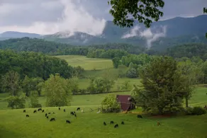 Spectacular Views, amazing location - Image 3
