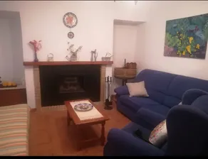 TIO TESORO - Image 4