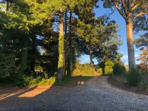 Cozy Weaverville Guest House - Image 2