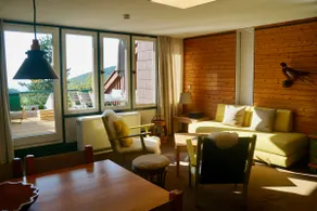 Black Forest apartment with panoramic views and pool - Image 5