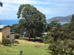 Lorne Luxury Escape – Peaceful, Family-Friendly with Ocean & Forest Views - Image 4