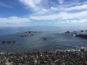 Experiences and sensations with the sea - Image 3