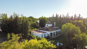 The Botanical Garden - Image 3