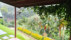 Aconchego da Montanha - chalé - Image 4