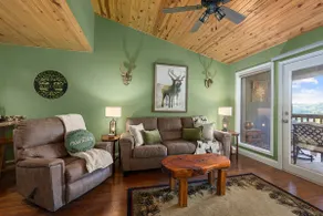 Ozark Mountain Lake Home - Image 3