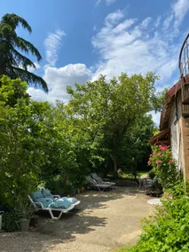 La Baldaquin - Image 4
