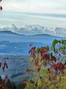Time out with Alpine views in Lueginsland - Image 4