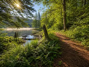 Mountain Views, Hot Tub, Trails, Waterfront - Image 3