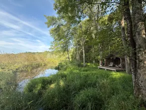 Forest Cabin | Fire Pit, Pond, Pickleball Court - Image 4