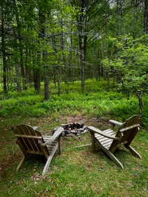Forest Cabin | Fire Pit, Pond, Pickleball Court - Image 5