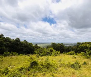 Mountainside Nest ~ with amazing views - Image 3