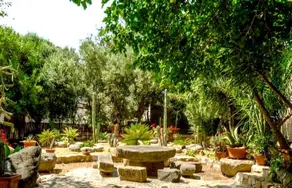 Magic Garden, an enchanted garden near the beach - Image 3