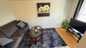 Affordable 1BHK close to Riverside, Casino & USA. - Image 4