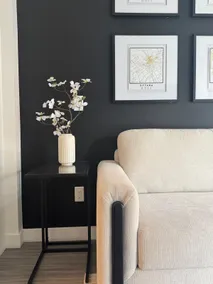 Elegant Eau Claire Condo - Image 5