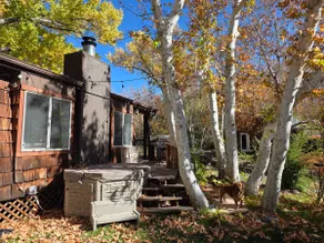 Retro Martini Cabin at Sycamore Cove - Image 2