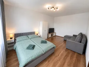 Comfortable apartment with air conditioning in Prievidza - Image 2