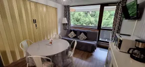 2-bedroom apartment with piste view 5 minutes from center - Image 4