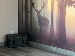 Pause tranquille entre châteaux, nature & Beauval - Image 2