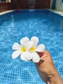 Zuluk Luxury Pool Villa with Swimming Pool - Image 5