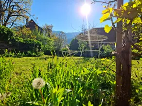 Vacation home on the Schwallenbach, in the heart of the Wachau - Image 4