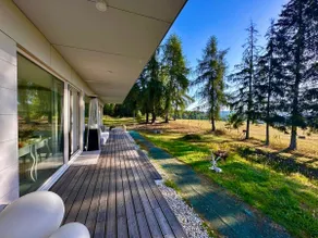 ORNI House - Image 4