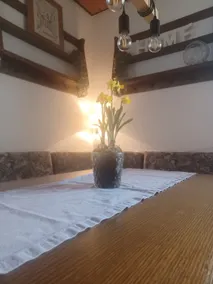Apartment in the vineyards - Image 4
