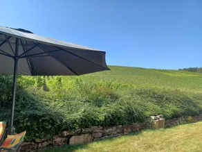 Apartment in the vineyards - Image 3