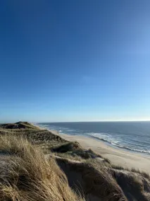 Scenic summer house by the North Sea with hot tub - Image 5