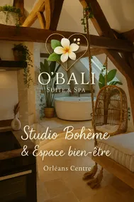 Luxury Bohemian Suite & Spa Wellness Area - Image 2