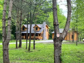 Spacious Log Cabin Nestled on a Private Wooded Lot - Image 5