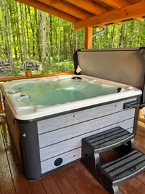 Authentic Log Cabin Nestled on Private Wooded Lot - Image 5