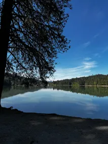 Black Bear Retreat - Image 4