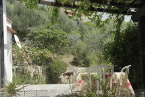 Davite house among olive trees 4km from the sea - Image 2