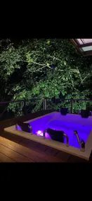 Cabin with Jacuzzi and great view - Image 2