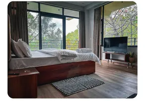 2bhk Mountain view|kasauli •AC•Café •Lift•Parking - Image 2
