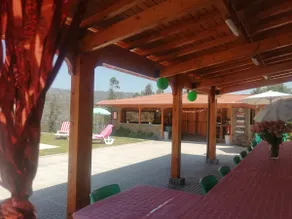 Eucalyptus Pink House - Image 3