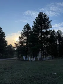 Towering Pines Tiny House - Image 2