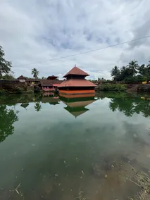 The Nest Nature Retreat - Image 3