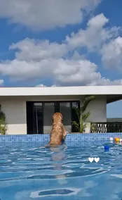 4Bed Private Pool Pet Friendly Alibaug Penthouse - Image 4