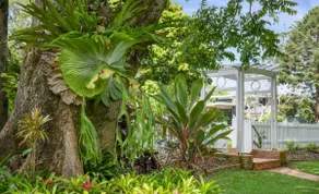 The Cedars - East Maleny Rainforest Hideaway - Image 5