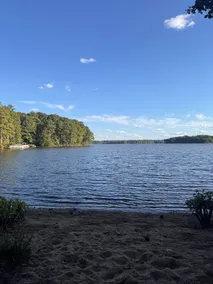 Hidden Gem in Richmond VA - Image 4