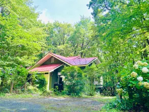 Pet-Friendly Forest Cottage with Hot Spring - Image 5