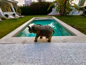 Villa with private pool 200 m from the beach - Image 2